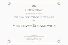 Classic Gold Training Certificate